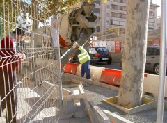 Ofegats en formig&oacute; (i 2)